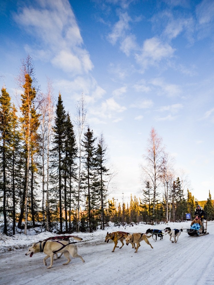 Borealis Basecamp | Alaska Aurora Viewing From Custom… | ALASKA.ORG